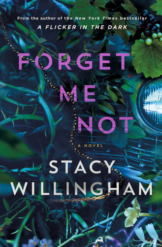Forget Me Not: A Novel book cover by Stacy Willingham