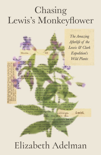 Chasing Lewis's Monkeyflower: The Amazing Afterlife of the Lewis and Clark Expedition's Wild Plants book cover by Elizabeth Adelman