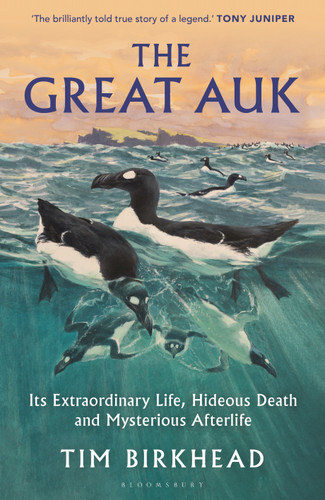 The Great Auk: Its Extraordinary Life, Hideous Death and Mysterious Afterlife - A DAILY TELEGRAPH BOOK OF THE YEAR book cover by Tim Birkhead