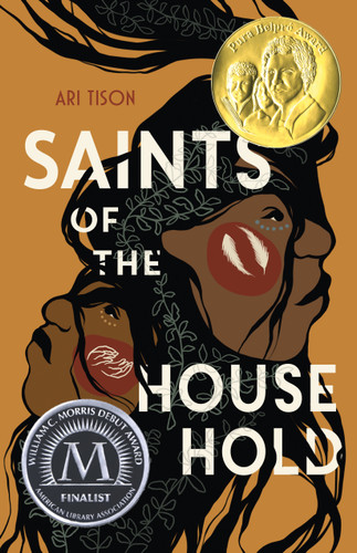 Saints of the Household book cover by Ari Tison