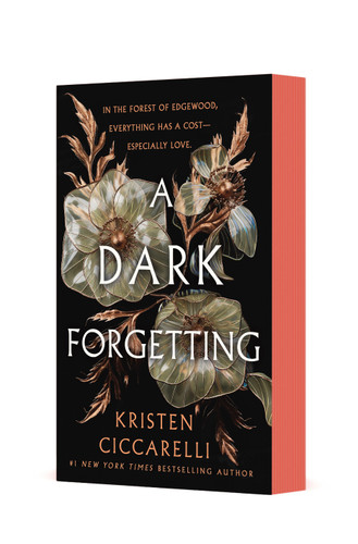 A Dark Forgetting: A Novel book cover by Kristen Ciccarelli