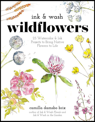 Ink & Wash Wildflowers: 25 Watercolor & Ink Projects to Bring Native Flowers to Life book cover by Camilla Damsbo Brix