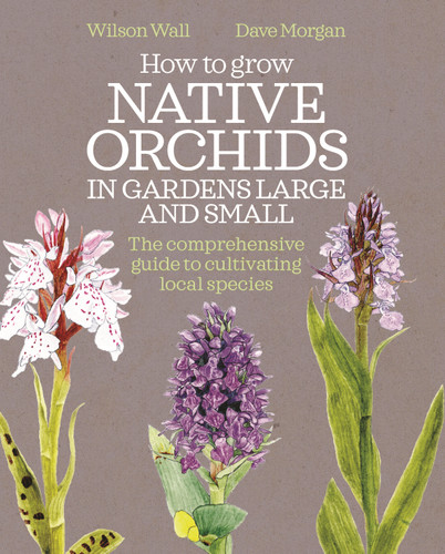 How to Grow Native Orchids in Gardens Large and Small: the comprehensive guide to cultivating local species book cover by Wilson Wall, Dave Morgan