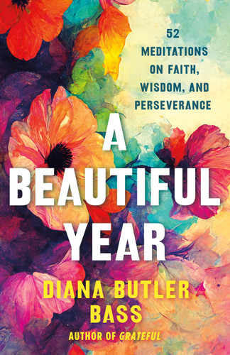 A Beautiful Year: 52 Meditations on Faith, Wisdom, and Perseverance book cover by Diana Butler Bass