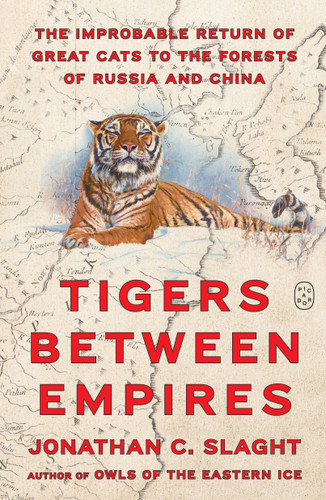 Tigers Between Empires: The Improbable Return of Great Cats to the Forests of Russia and China book cover by Jonathan C. Slaght