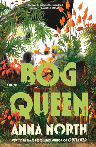 Bog Queen: A Novel book cover by Anna North