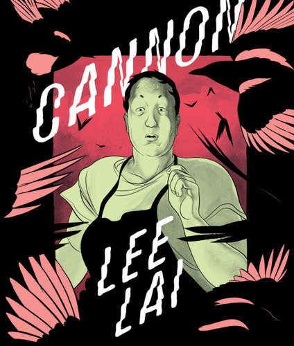 Cannon book cover by Lee Lai