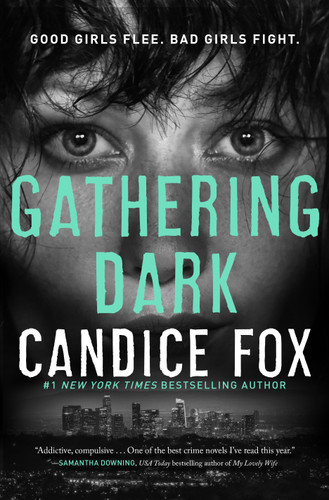 Gathering Dark book cover by Candice Fox