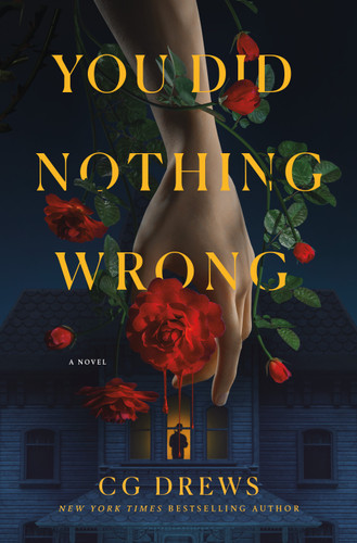 You Did Nothing Wrong: A Novel book cover by CG Drews