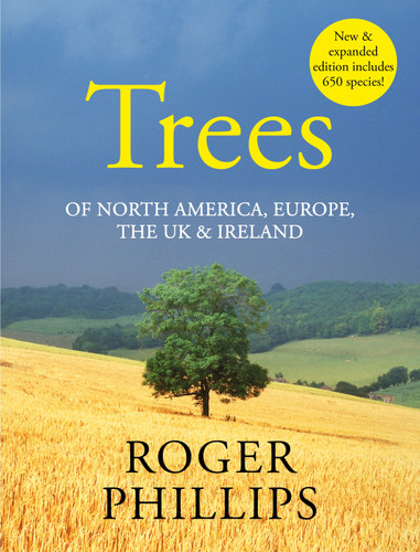 Trees: Of North America, Europe, the UK & Ireland book cover by Roger Phillips