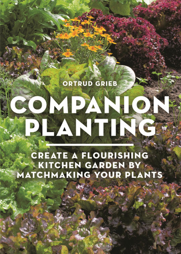 Companion Planting: Create a Flourishing Kitchen Garden By Matchmaking Your Plants book cover by Ortrud Grieb