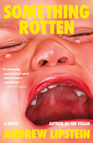 Something Rotten: A Novel book cover by Andrew Lipstein