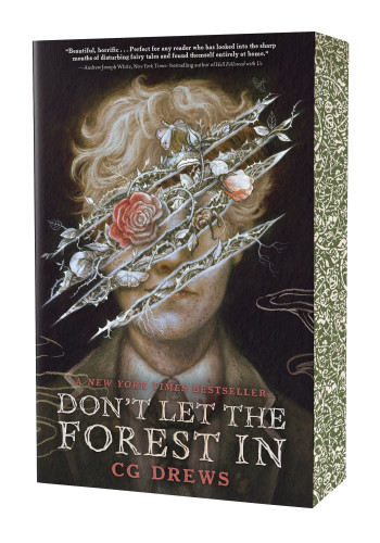 Don't Let the Forest In book cover by CG Drews