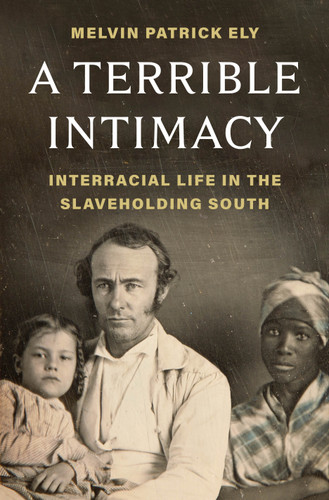 A Terrible Intimacy: Interracial Life in the Slaveholding South book cover by Melvin Patrick Ely