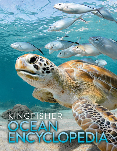 The Kingfisher Ocean Encyclopedia (Kingfisher Encyclopedias) book cover by Kingfisher