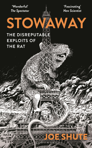 Stowaway: The Disreputable Exploits of the Rat – A NEW SCIENTIST NON-FICTION BOOK OF THE YEAR book cover by Joe Shute