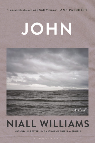 John: A Novel book cover by Niall Williams
