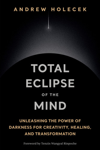 Total Eclipse of the Mind: Unleashing the Power of Darkness for Creativity, Healing, and Transformation book cover by Andrew Holecek