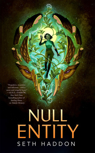 Null Entity [9781250365217]