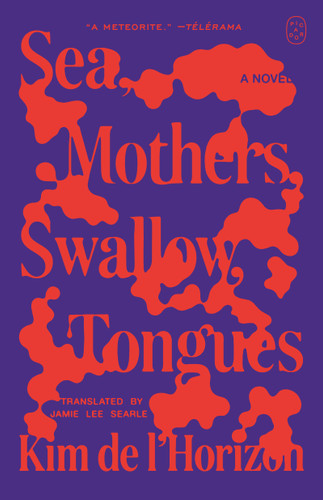 Sea, Mothers, Swallow, Tongues: A Novel book cover by Kim de l'Horizon