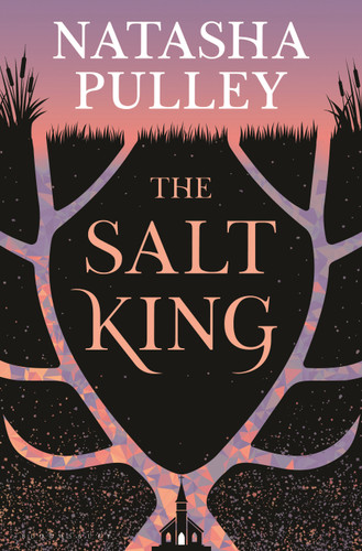 The Salt King: A Novel book cover by Natasha Pulley