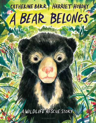 A Bear Belongs: A Wildlife Rescue Story book cover by Catherine Barr