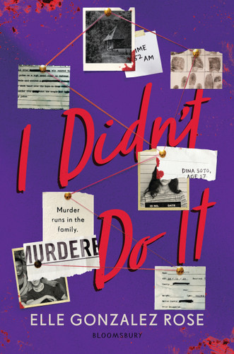 I Didn't Do It book cover by Elle Gonzalez Rose