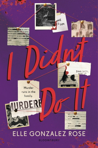 I Didn't Do It book cover by Elle Gonzalez Rose