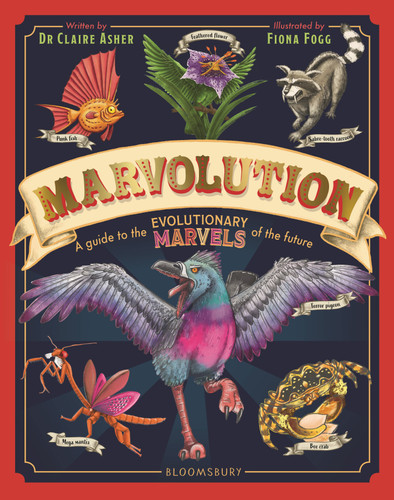 Marvolution book cover by Claire Asher