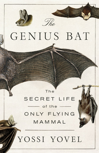 The Genius Bat: The Secret Life of the Only Flying Mammal book cover by Yossi Yovel