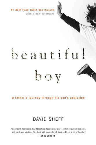 Beautiful Boy: A Father's Journey Through His Son's Addiction book cover by David Sheff