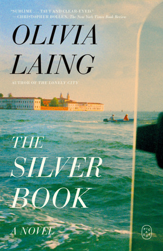 The Silver Book: A Novel book cover by Olivia Laing