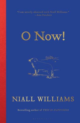 O Now! book cover by Niall Williams