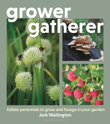 Grower Gatherer: Edible perennials to grow and forage in your garden book cover by Jack Wallington