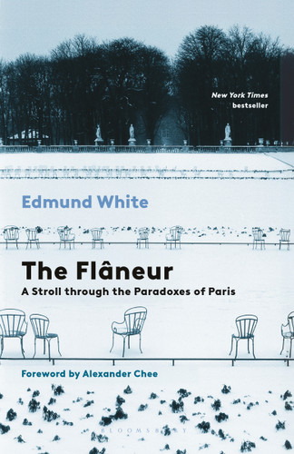 The Flaneur: A Stroll through the Paradoxes of Paris book cover by Edmund White