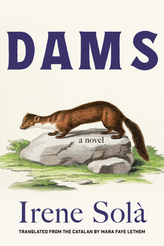 Dams: A Novel book cover by Irene Solà