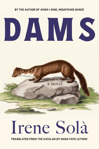 Dams: A Novel book cover by Irene Solà