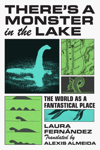 There's a Monster in the Lake: The World as a Fantastical Place book cover by Laura Fernández