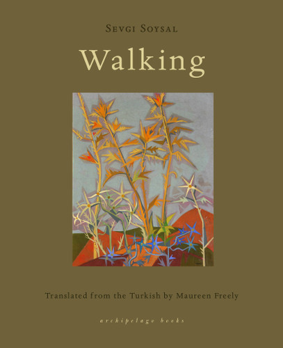 Walking book cover by Sevgi Soysal