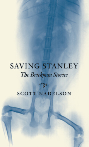 Saving Stanley: The Brickman Stories book cover by Scott Nadelson