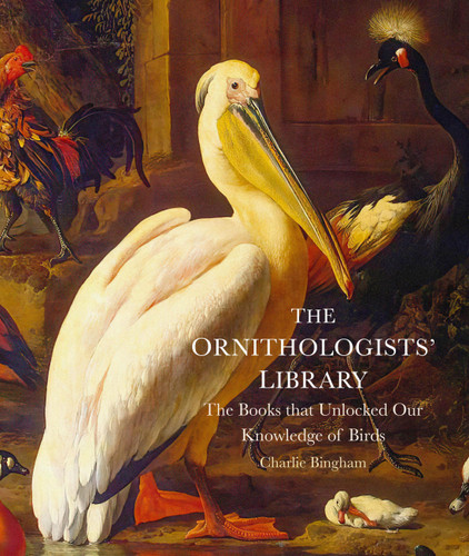 The Ornithologists' Library: The Books that Unlocked Our Knowledge of Birds (Libri Historici) book cover by Charlie Bingham