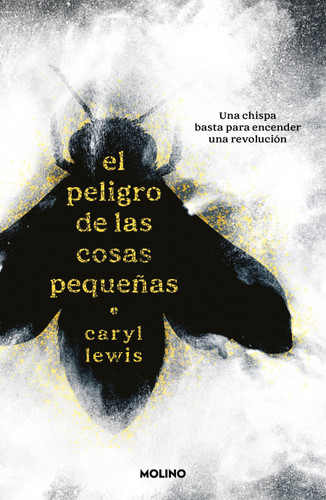 El peligro de las cosas pequeñas / The Danger of Small Things book cover by Caryl Lewis