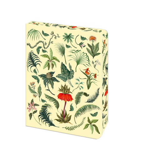 The Fern Journal: Blank Lined Notebook (Bermondsey Soft-Touch Journals) book cover by Arcturus Publishing Limited
