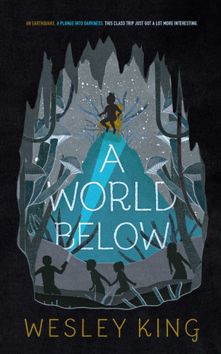 A World Below book cover by Wesley King