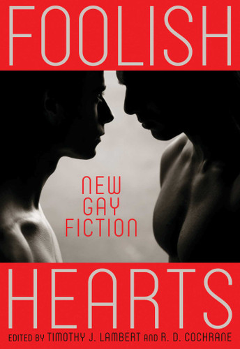 Foolish Hearts: New Gay Fiction book cover by 
