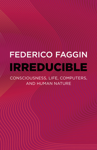Irreducible: Consciousness, Life, Computers, and Human Nature book cover by Federico Faggin