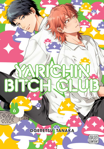Yarichin Bitch Club, Vol. 6 (Yarichin Bitch Club) book cover by Ogeretsu Tanaka