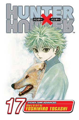 Hunter x Hunter, Vol. 17: A Fierce Three-Way Struggle (Hunter X Hunter) book cover by Yoshihiro Togashi