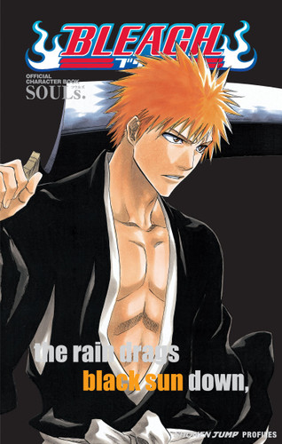 Bleach SOULs. Official Character Book (Bleach SOULs. Official Character Book) book cover by Tite Kubo