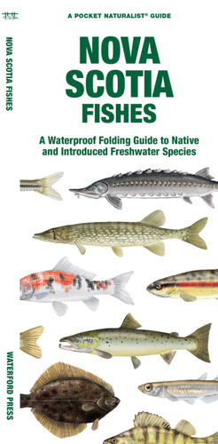 Nova Scotia Fishes (Nature Observation North America) book cover by Waterford Press, Matthew Morris